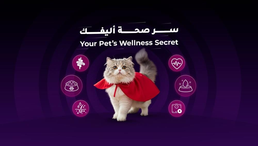 The Secret to Your Pet’s Health