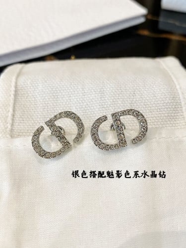 Dior Earrings