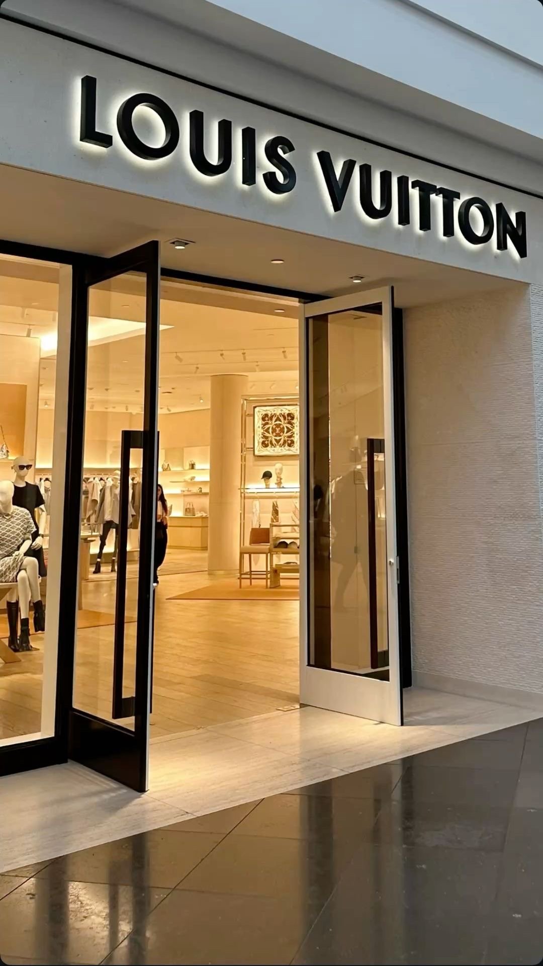 LOUIS VUITTON BAG