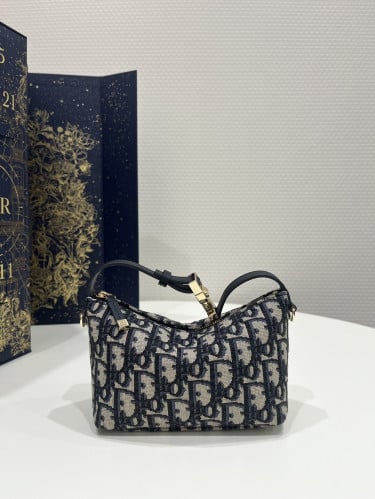 Medium DiorTravel Nomad Pouch