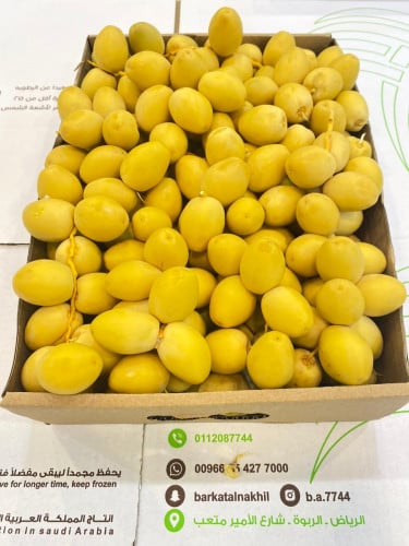 برحي فاخر (داخل الرياض)
