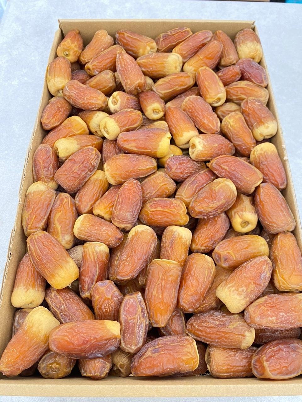 صقعي ملكي ( 5 ك )