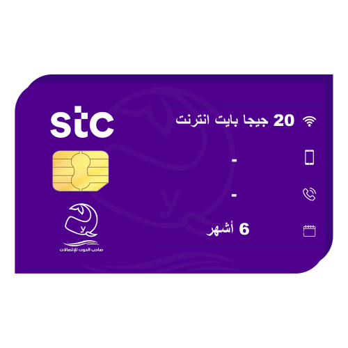 كويك نت سمارت 20 جيجا - 6 أشهر