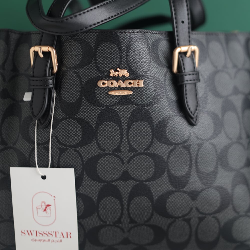 Women's Coach bag CO126