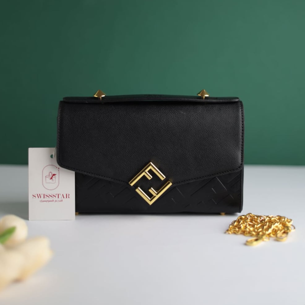 Fendi women's bag F111