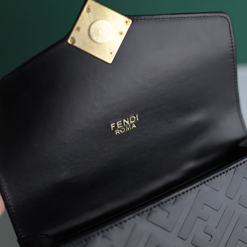 Fendi women's bag F111