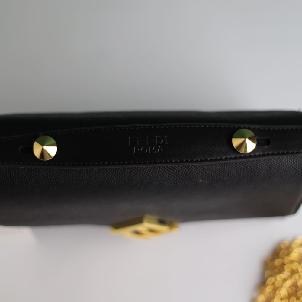 Fendi women's bag F111