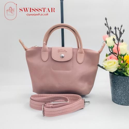 Longchamp pig bag price best sale