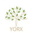 Yorx