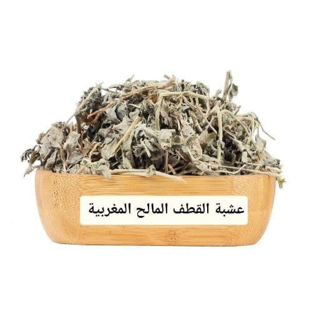 عشبة القطف المالح المغربية