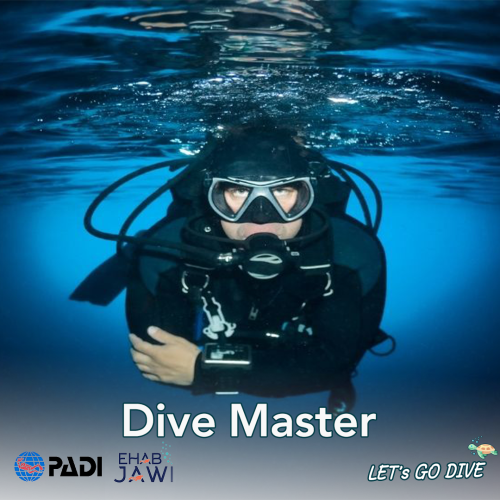 دورة dive master