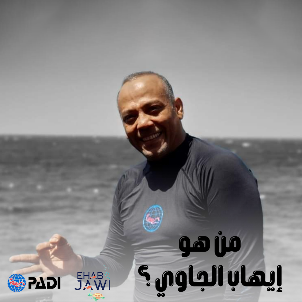 من هو ايهاب الجاوي ؟