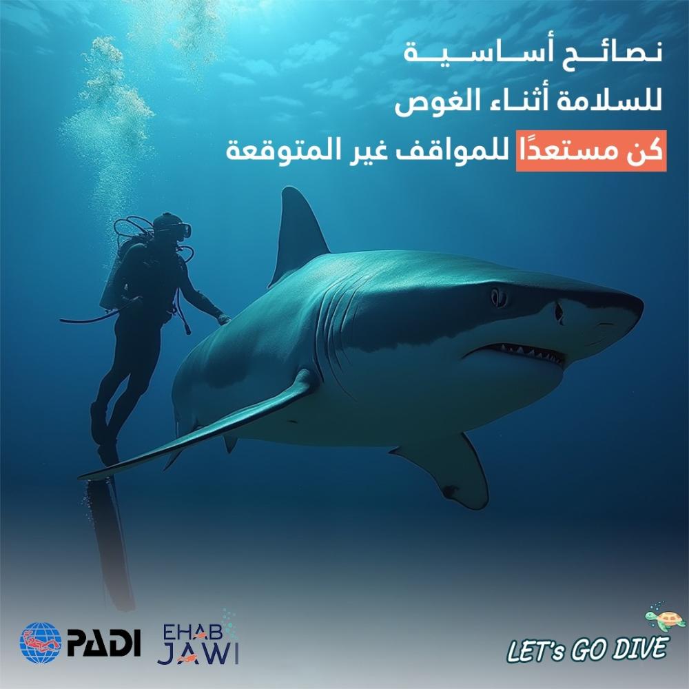 نصائح أساسية للسلامة أثناء الغوص كن مستعدًا للمواقف غير المتوقعة