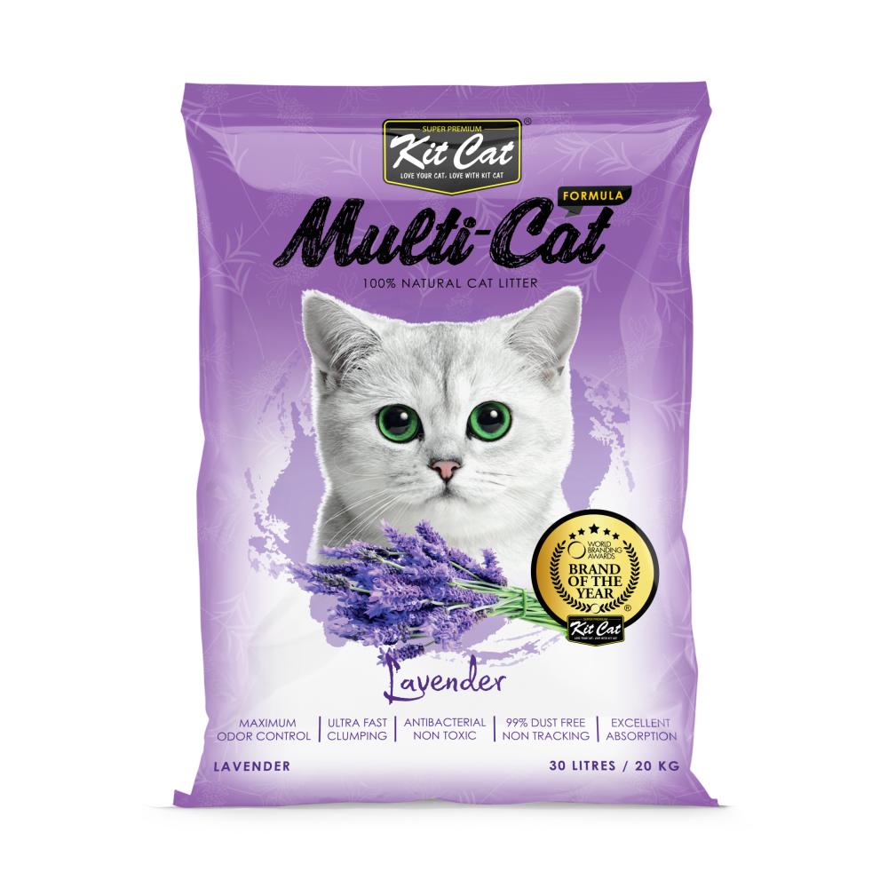 Kitty sand sale