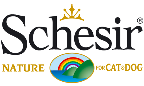 Schesir