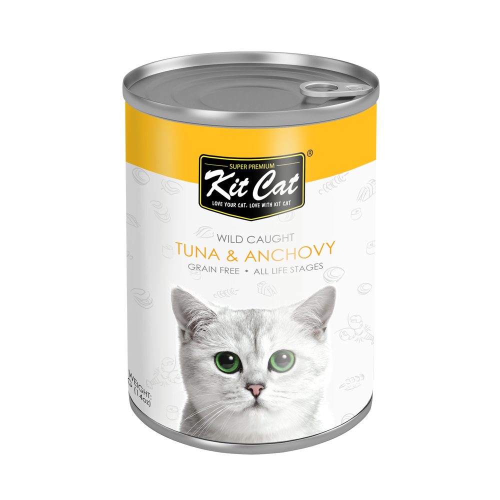 Canned hotsell tuna cats