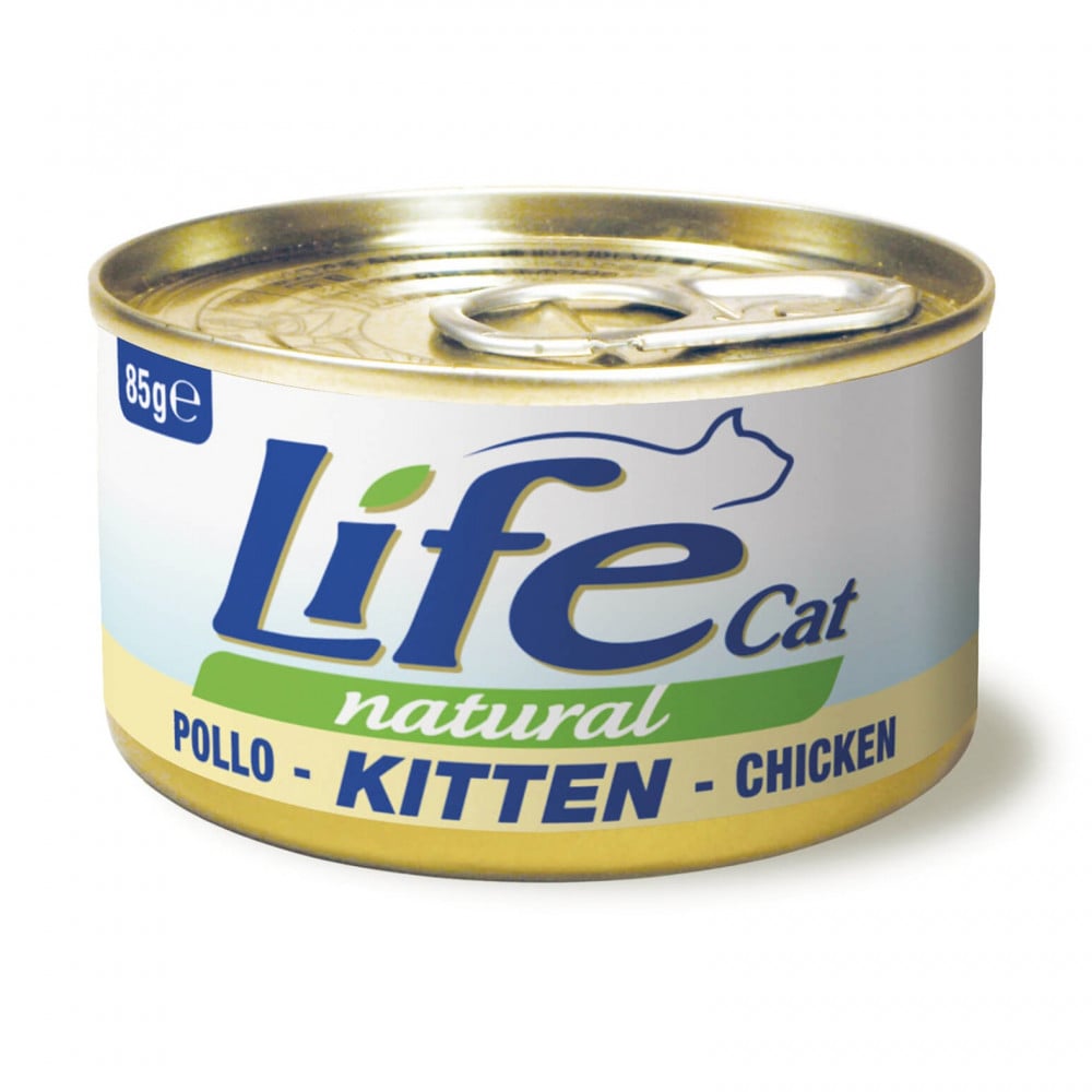 life cat kitten wet food