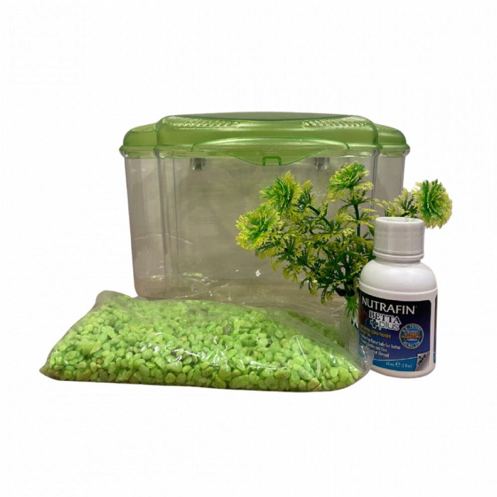 حوض لسمك الفايتر والسلاحف  مع نبته