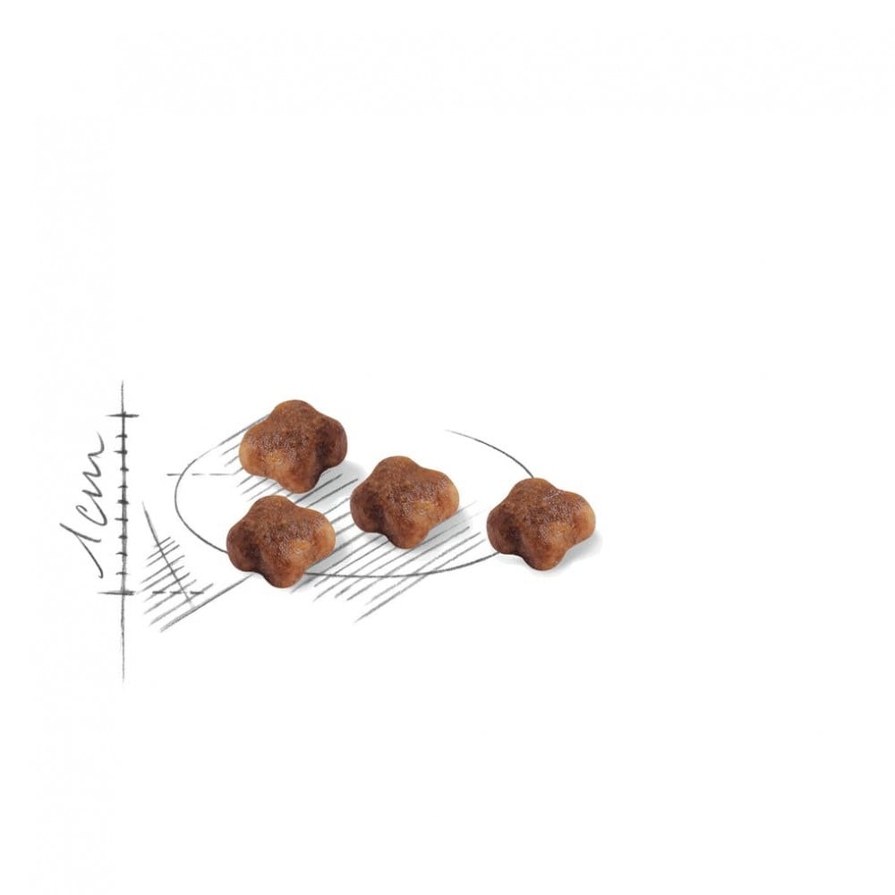Royal canin mother and baby cat 400g sales
