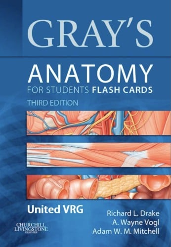 Gray’s anatomy