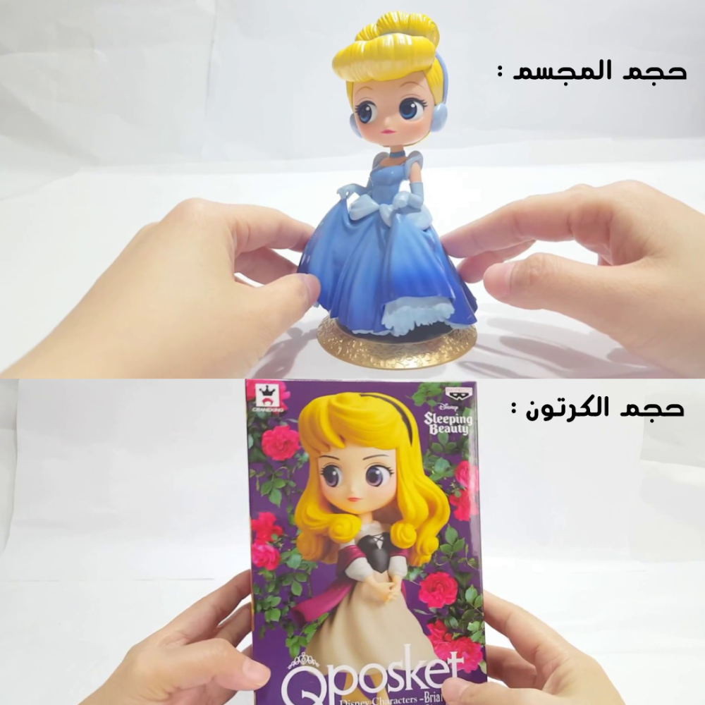 فيقر ميدوريا