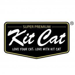 كت كات