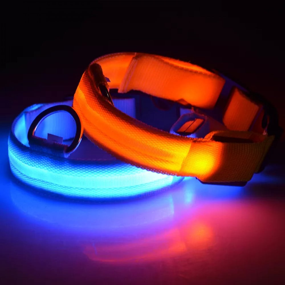 طوق مضيء LED