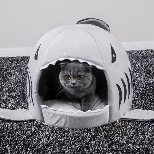 Shark shop cat house