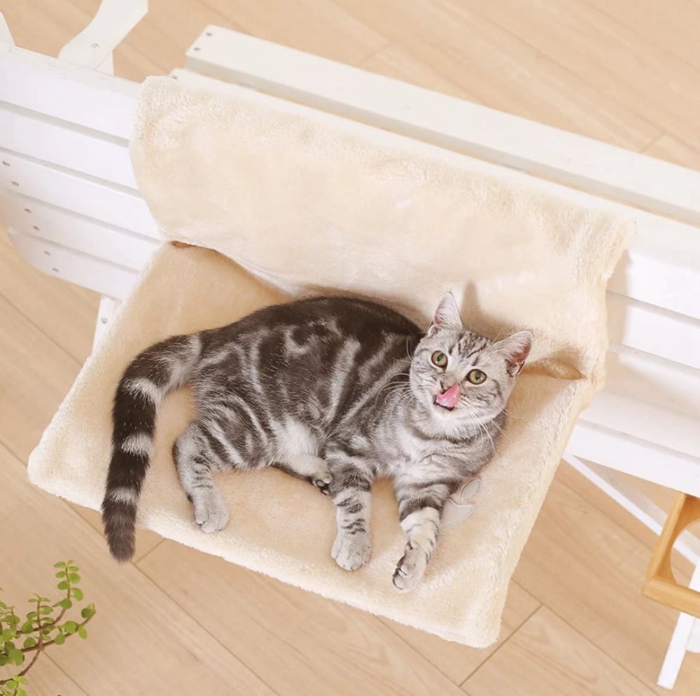 Hanging chair hotsell for cats