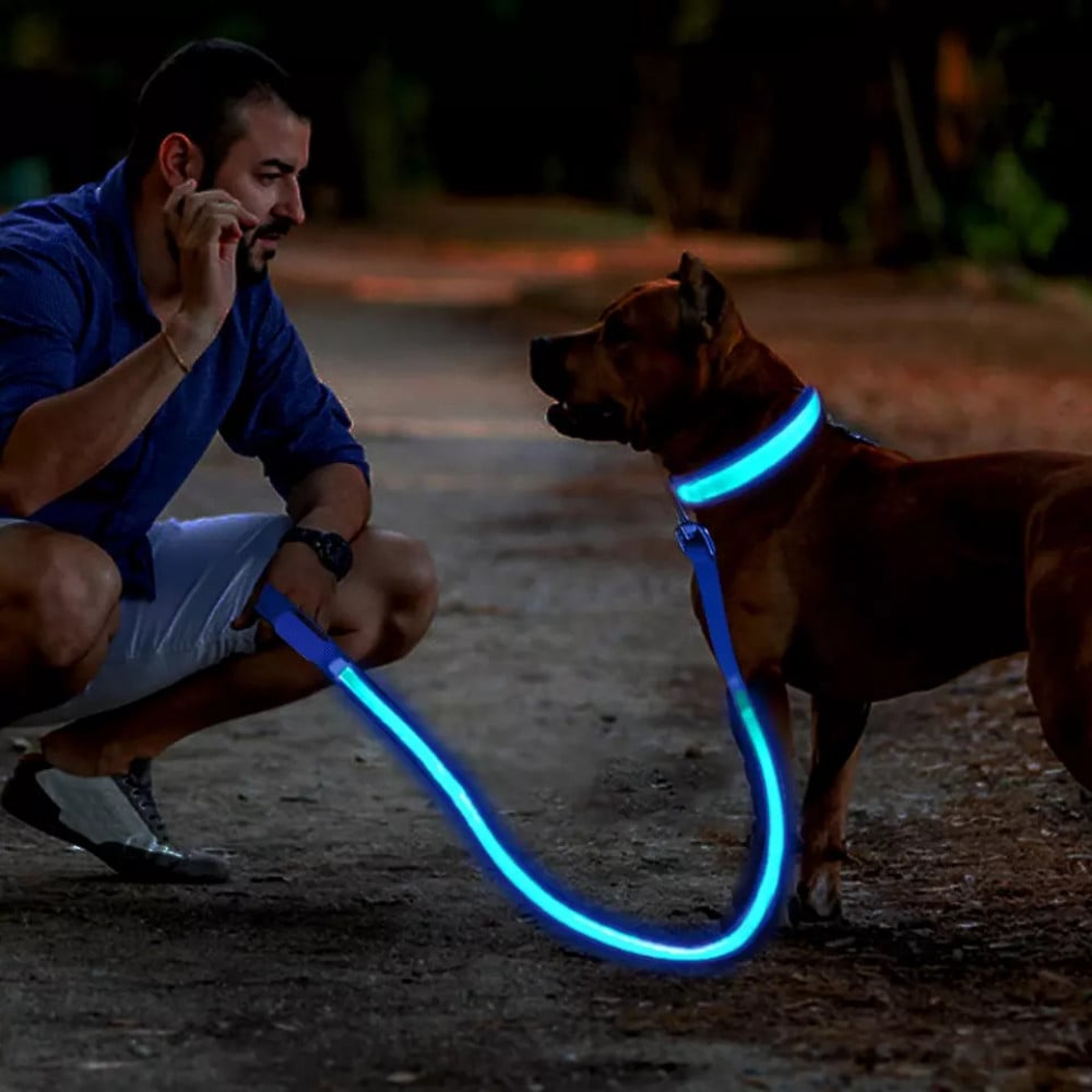 طوق مضيء LED