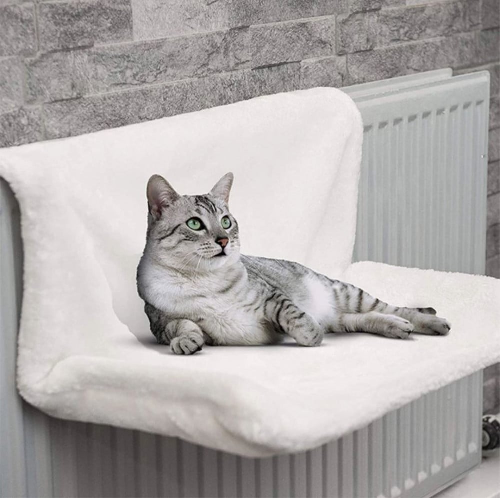 Hanging chair outlet for cats