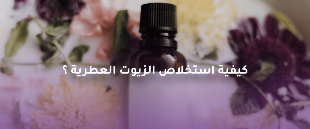 كيفية استخلاص الزيوت العطرية ؟
