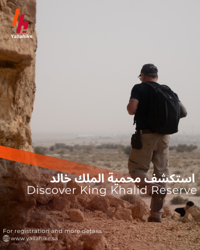 استكشف محمية الملك خالد الملكية | للمرشدين المرخصين