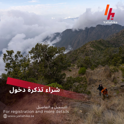 تذكرة دخول لمخيم يلا هايك في أبها