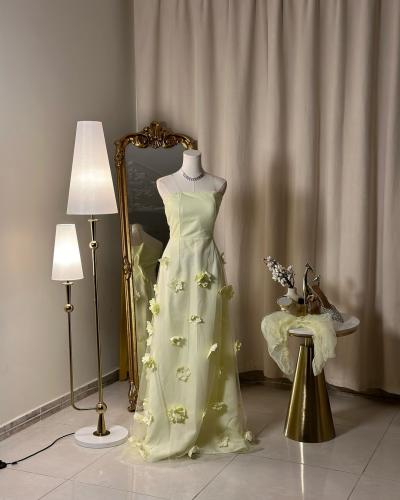 Long evening dress 4787