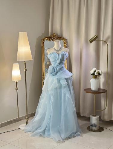 6609 - فستان سهرة طويل