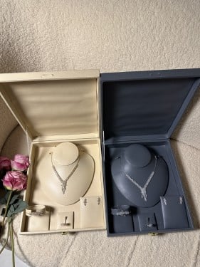 طقم اكسسوار  ( 2 لونين) A494