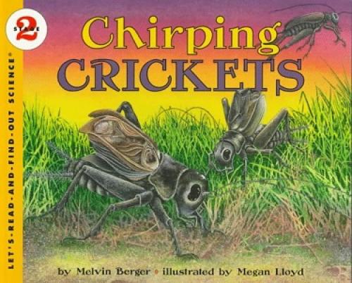 CHIRPING CRICKETS