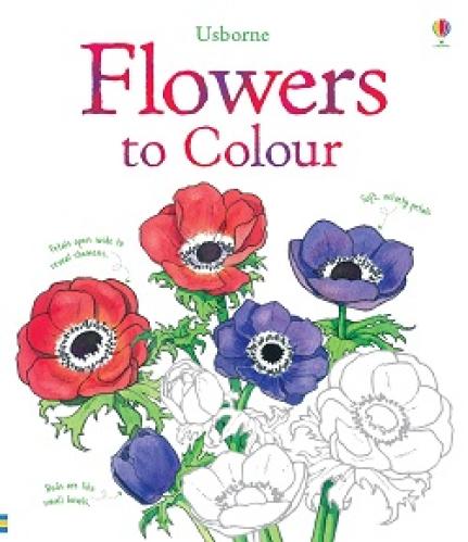 Flower Colouring Book