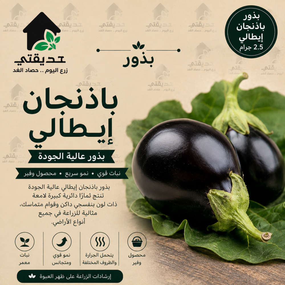 بذور باذنجان إيطالي