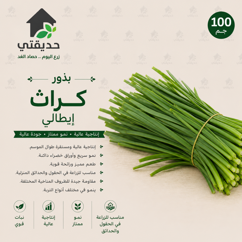 بذور كراث ايطالي