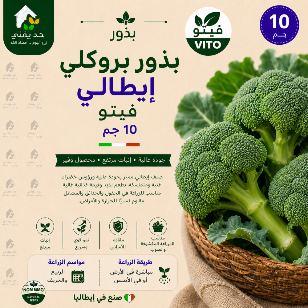 بذور بروكلي ايطالي