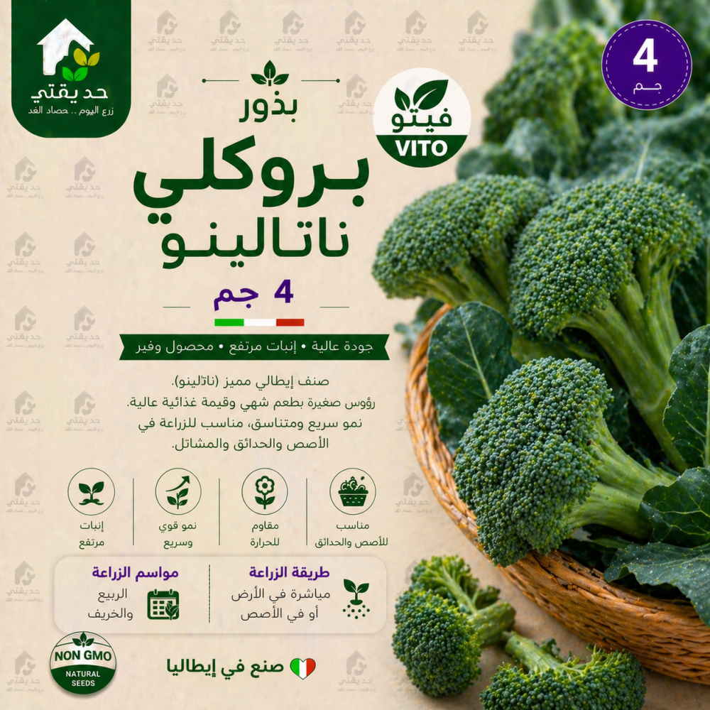بذور بروكلي ناتالينو 4 جم فيتو