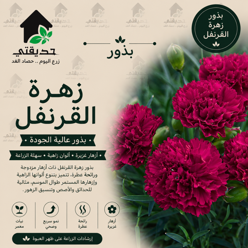 بذور زهرة القرنفل
