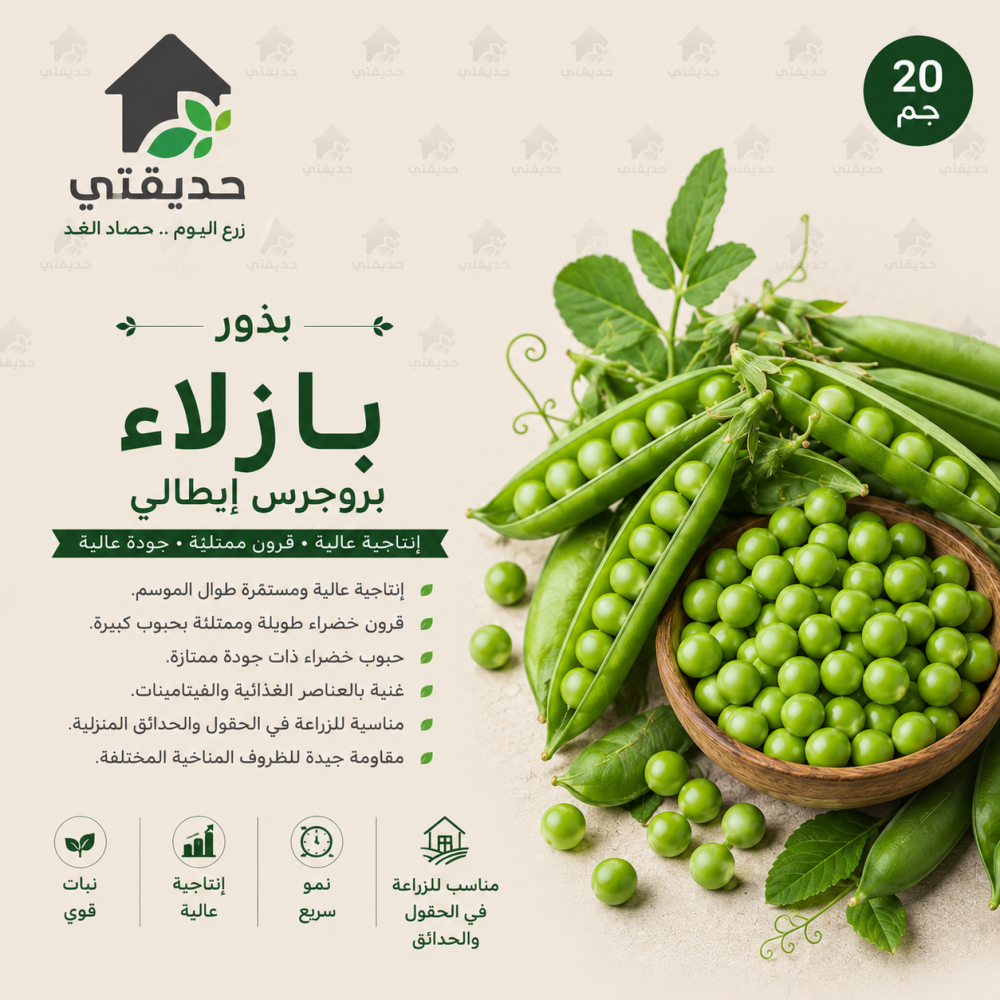 بذور بازلاء بروجرس إيطالي 20 جم