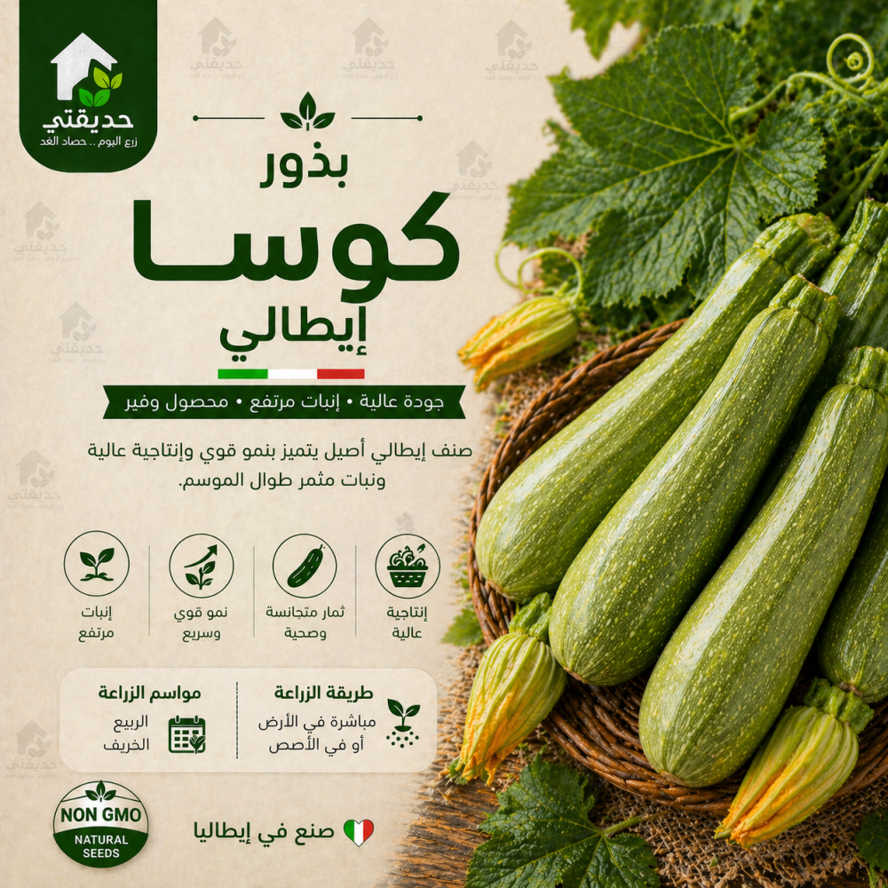 بذور كوسا ايطالي