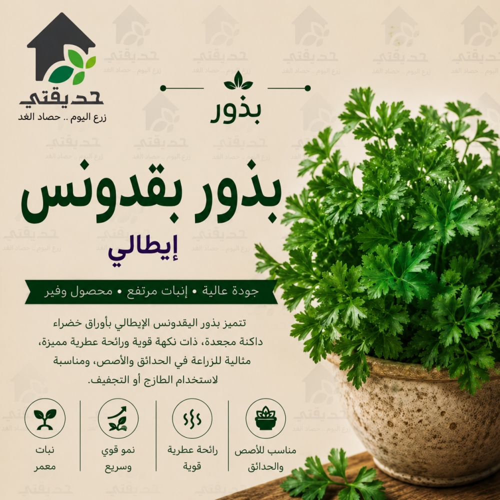 بذور بقدونس ايطالي