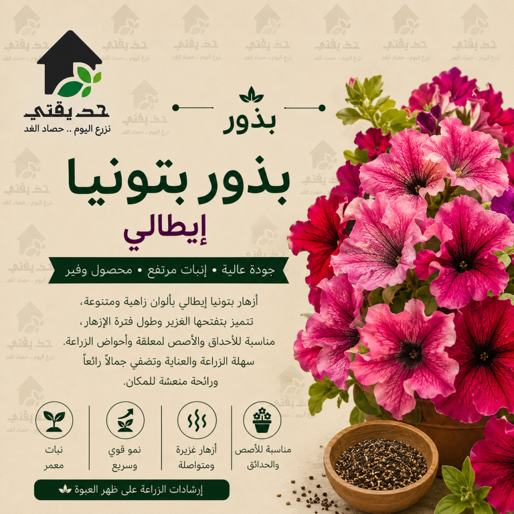 بذور بتونيا ايطالي