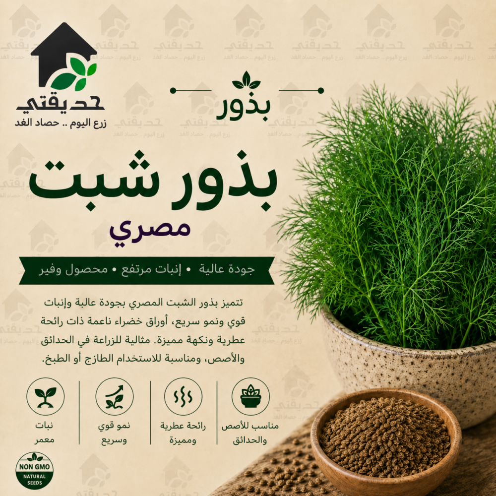 بذور شبت مصري