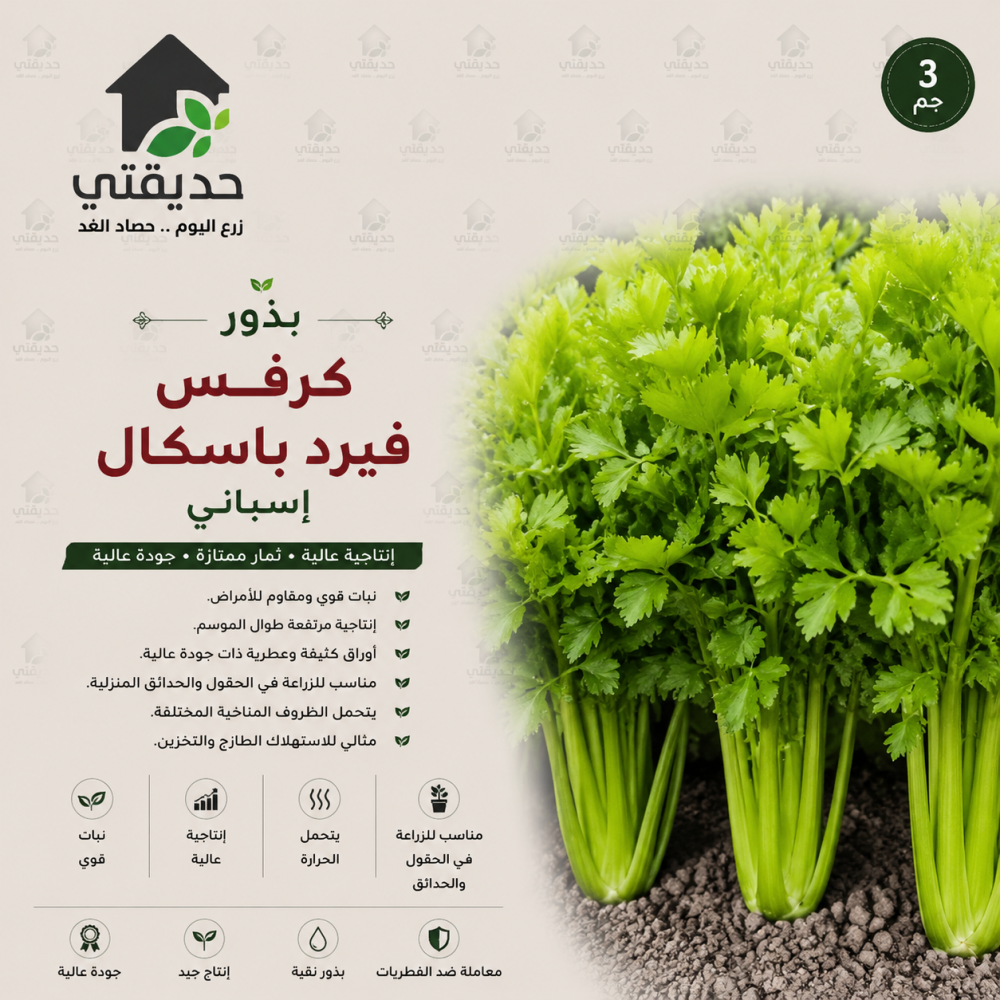 بذور كرفس فيرد باسكال باكت 3 غم -اسباني